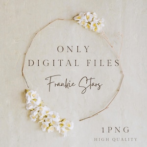 May include: A digital download of a floral wreath with white flowers and a gold wire frame. The text "ONLY DIGITAL FILES Frankie Stars 1 PNG HIGH QUALITY" is written on a beige background.
