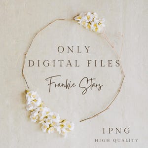 Puede incluir: Un dise&ntilde;o digital con el texto "ONLY DIGITAL FILES Frankie Stars" enmarcado en un c&iacute;rculo de ramitas y flores blancas. Tambi&eacute;n est&aacute;n presentes las palabras "1 PNG" y "HIGH QUALITY". El fondo es de color blanco roto texturizado.