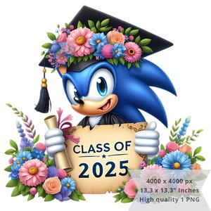 1 PNG schattige Sonic Flowers afstuderen, clipartafbeeldingen, digitaal ontwerp PNG-bestand voor sublimatie, hoge resolutie, direct digitaal downloaden PNG