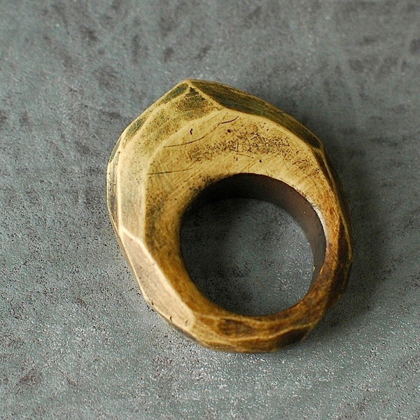 Fragment Ring in Maize