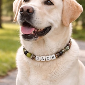 May include: A yellow Labrador Retriever wearing a beaded collar featuring round green, brown, and black patterned beads interspersed with white square beads that spell out the name JACK in black capital letters around the dog's neck.