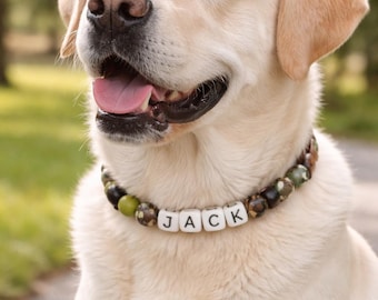 Collar de cuentas personalizado e impermeable para perros pequeños y medianos. Collar ajustable con nombre personalizado.