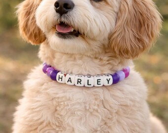 Collar de cuentas personalizado para perro: diseño tribal impermeable, nombre personalizado