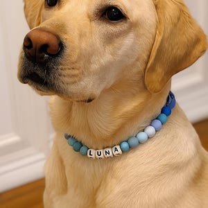 Personalized Beaded Dog Collar: Waterproof Tribal Design, Custom Name