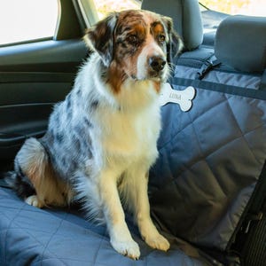 Può includere: Una fodera per sedile per cani trapuntata blu con un'etichetta bianca a forma di osso su cui è scritto "Luna". Un cane pastore australiano blu merle è seduto sulla fodera del sedile.