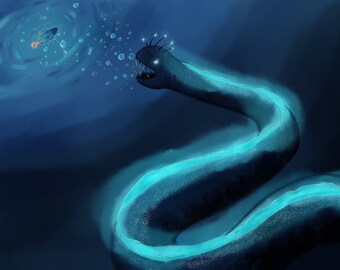 Hook Illustration