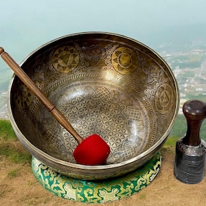 Può includere: Una grande ciotola tibetana in bronzo ornata con intricati motivi incisi, un martello di legno con una testa rossa e un piccolo battente di legno. La ciotola poggia su un cuscino con motivi verdi e dorati.