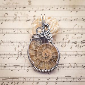May include: A pendant featuring a tan and brown spiral ammonite fossil encased in a silver-colored wire-wrapped frame. The metal wire is intricately coiled at the top to form a bail, with a twisted wire border securing the fossilized shell.
