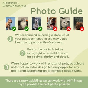 May include: A green and white photo guide with tips for taking photos of pets for custom ornaments. The guide includes three tips: 1. Take a close-up photo of your pet, 2. Ensure the photo is taken in daylight or a well-lit room, and 3. An extra design fee may apply for complex design work.