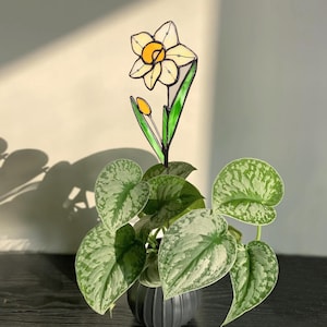 Yellow daffodil floral stake displayed in a leafy plant – handmade glass flower gift idea.