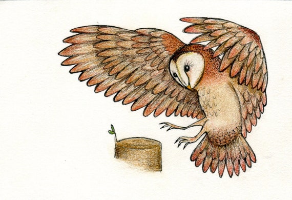 Barn Owl Drawing Flying