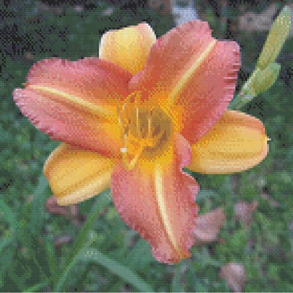 Patrón punto de cruz Tiger Lily PDF - Descarga instantánea