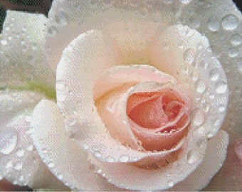 White Rose cross stitch pattern PDF - Instant Download