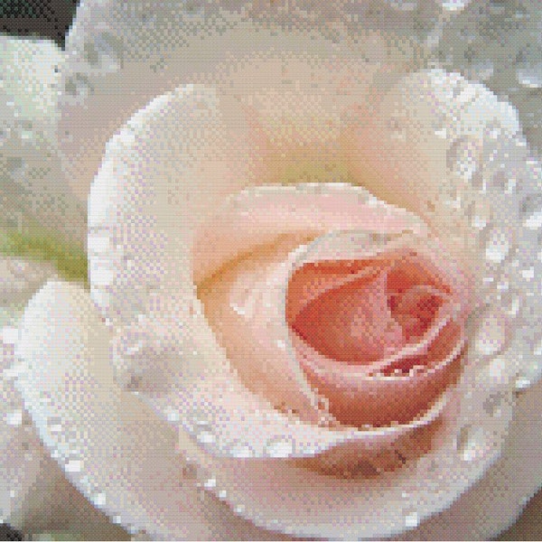 White Rose cross stitch pattern PDF - Instant Download