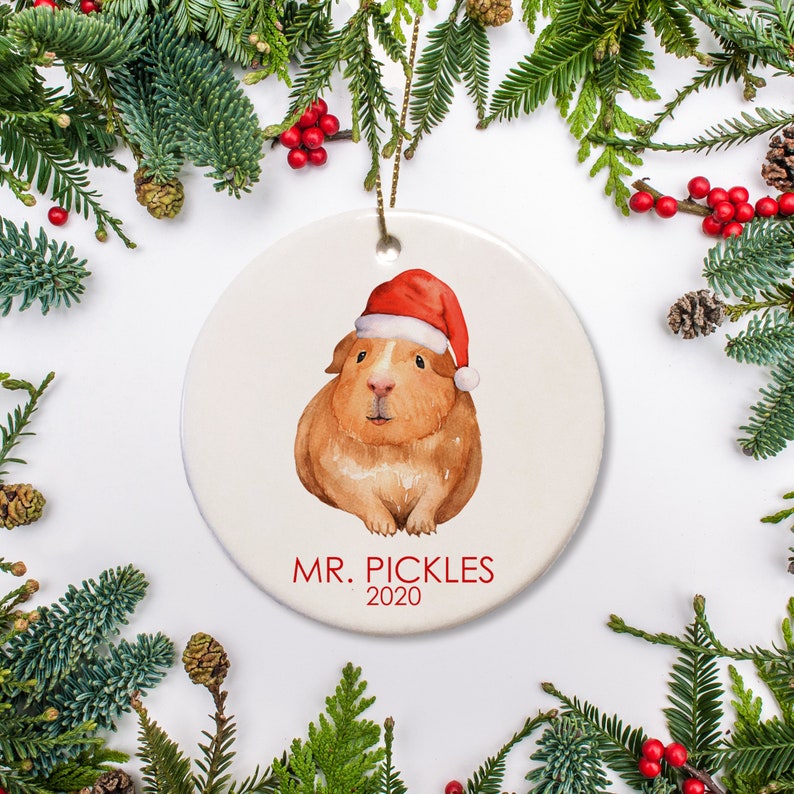 Guinea Pig Christmas Ornament Personalized Pet Ornament Etsy