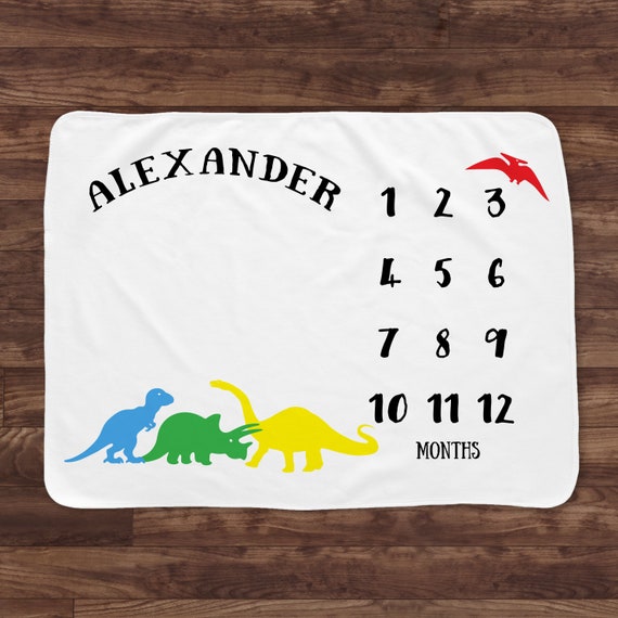 dinosaur milestone blanket