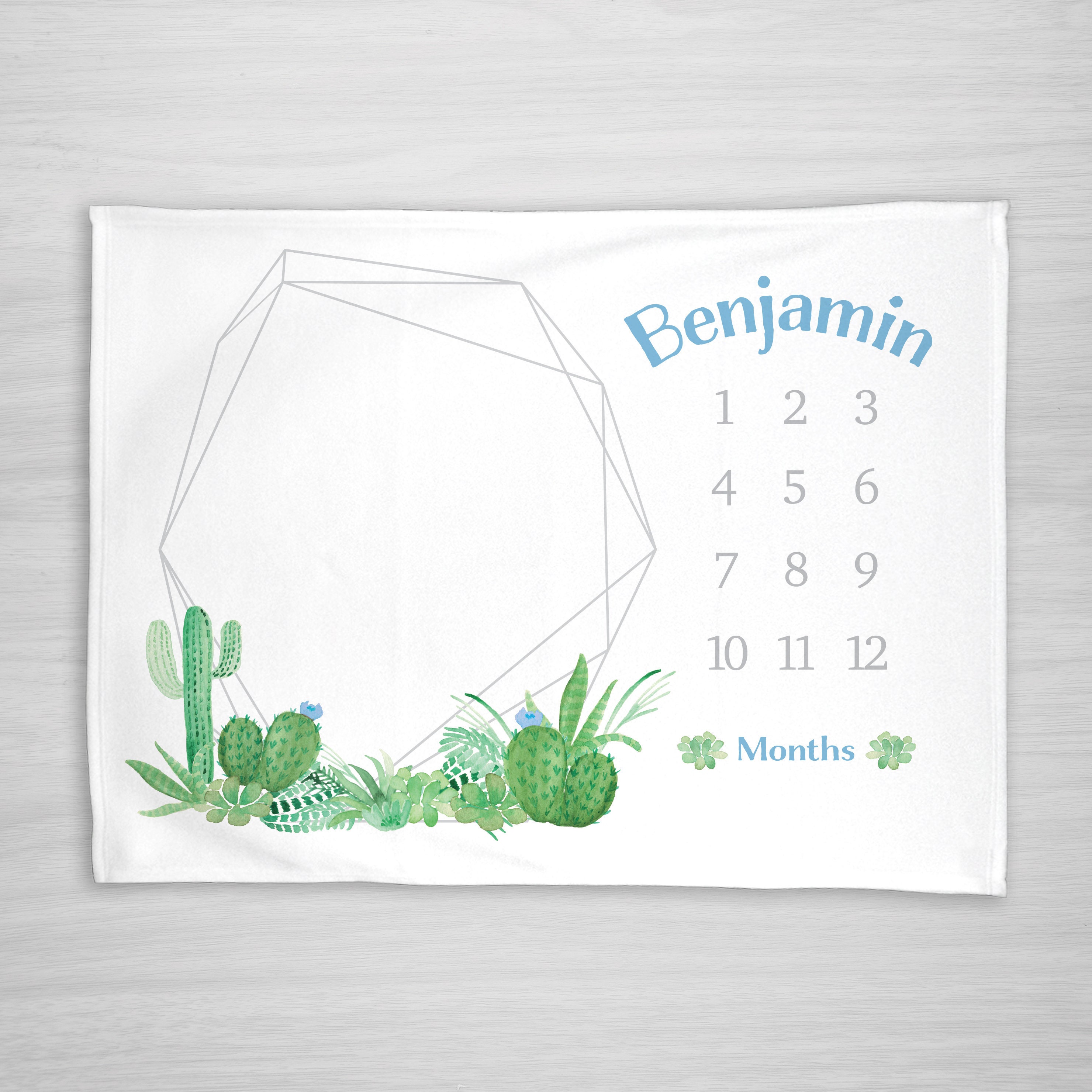 Baby Month Milestone Blanket Cactus Succulent Boy Personalized Baby Blanket Track Growth and Age New Mom Baby Shower Gift Etsy Canada