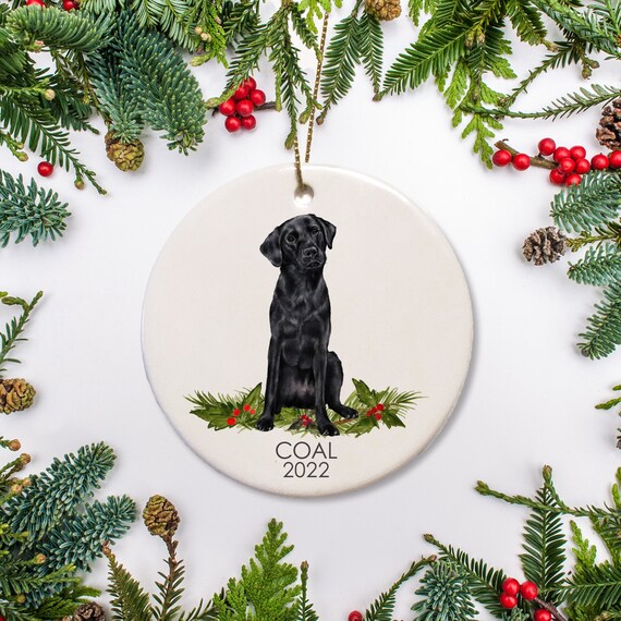 Black Lab Christmas Ornament, Personalized Dog Ornament, Black Labrador Christmas Gift for Dog Lovers Pet's first Christmas Family Dog Il_570xn