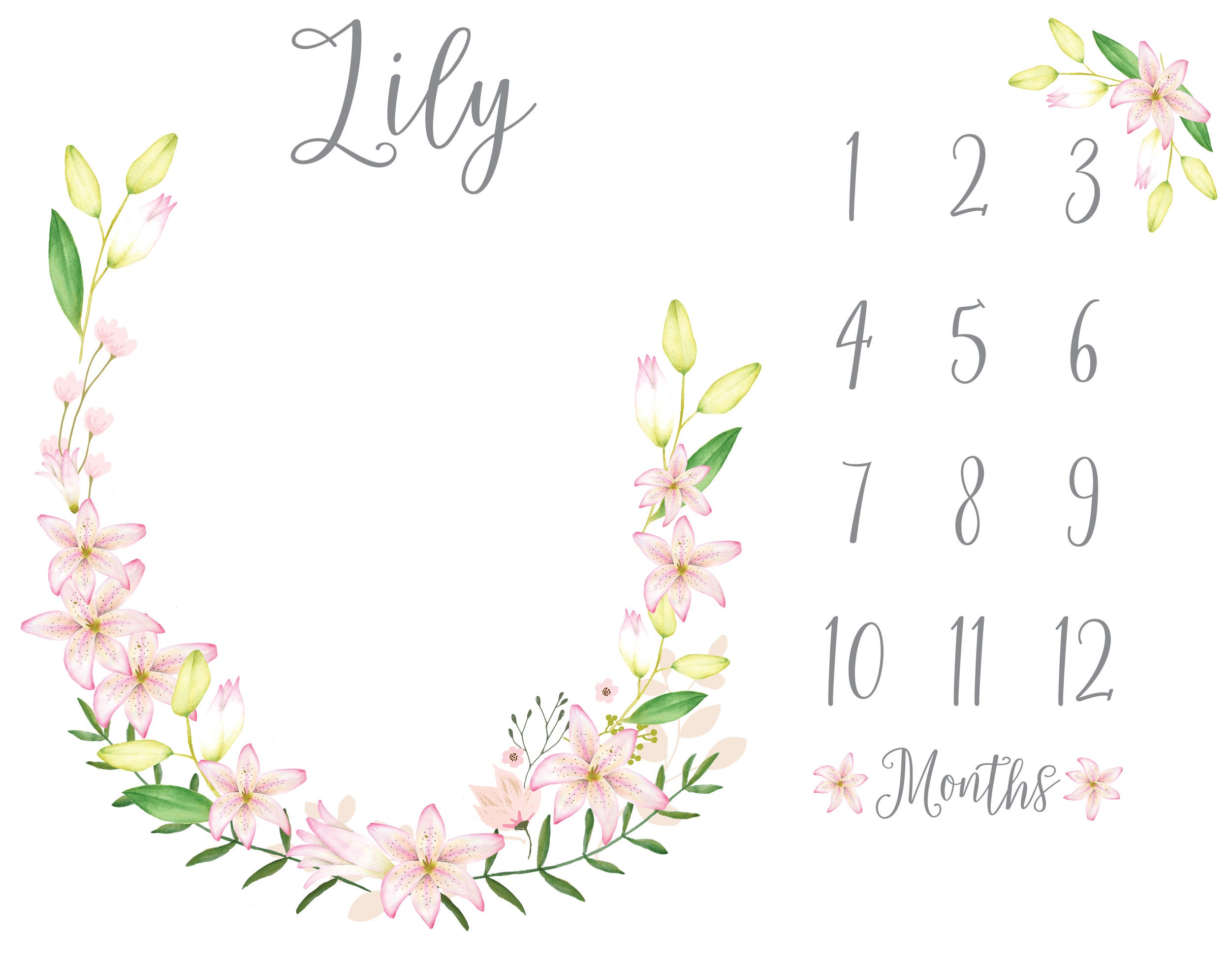 Lily and dan baby milestone blanket sale