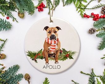May include: A round, white ceramic Christmas ornament featuring a brown dog wearing a red and white striped scarf. The dog is surrounded by green holly and the name "APOLLO" is printed below. The ornament is trimmed with a gold string for hanging.