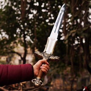 May include: A silver sword with a gold-colored hilt and intricate details. The sword is held by a hand wearing a red jacket.