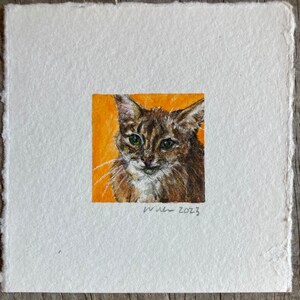 Custom Pet Portraits