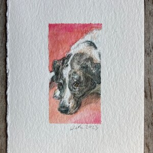 Custom Pet Portraits