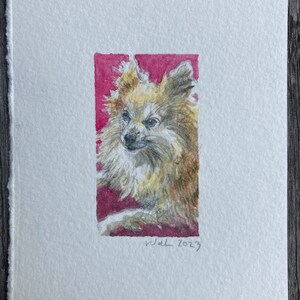 Custom Pet Portraits