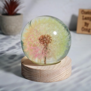 Puede incluir: Una esfera de vidrio con un diente de león preservado en su interior, sobre una base de madera. El diente de león es blanco con detalles rosas y amarillos.