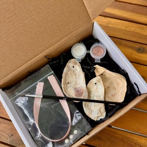 DIY Oyster Ornament Kit