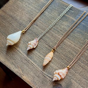 Shell Pendant Necklace