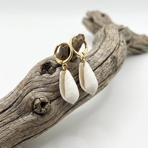 May include: A pair of gold-toned hoop earrings featuring dangling white, elongated, smooth sea shells. The earrings are suspended from a textured, weathered piece of driftwood, showcasing the contrast between the metallic gold and natural white.