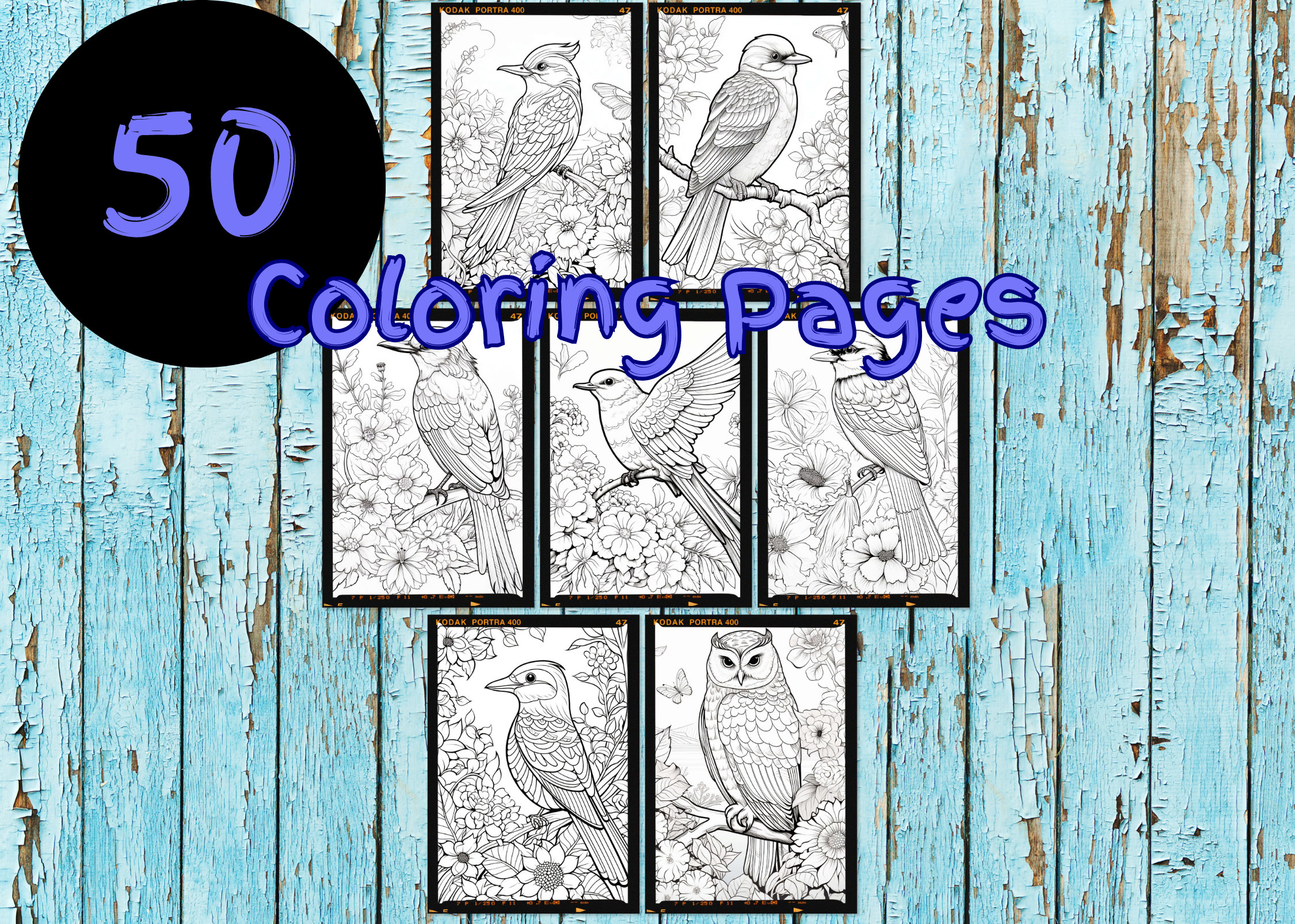50 Cute Bird Coloring Pages | Floral | KDP Interior | Adults + Kids ...