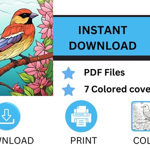 50 Cute Bird Coloring Pages Floral KDP Interior Adults Kids Coloring ...