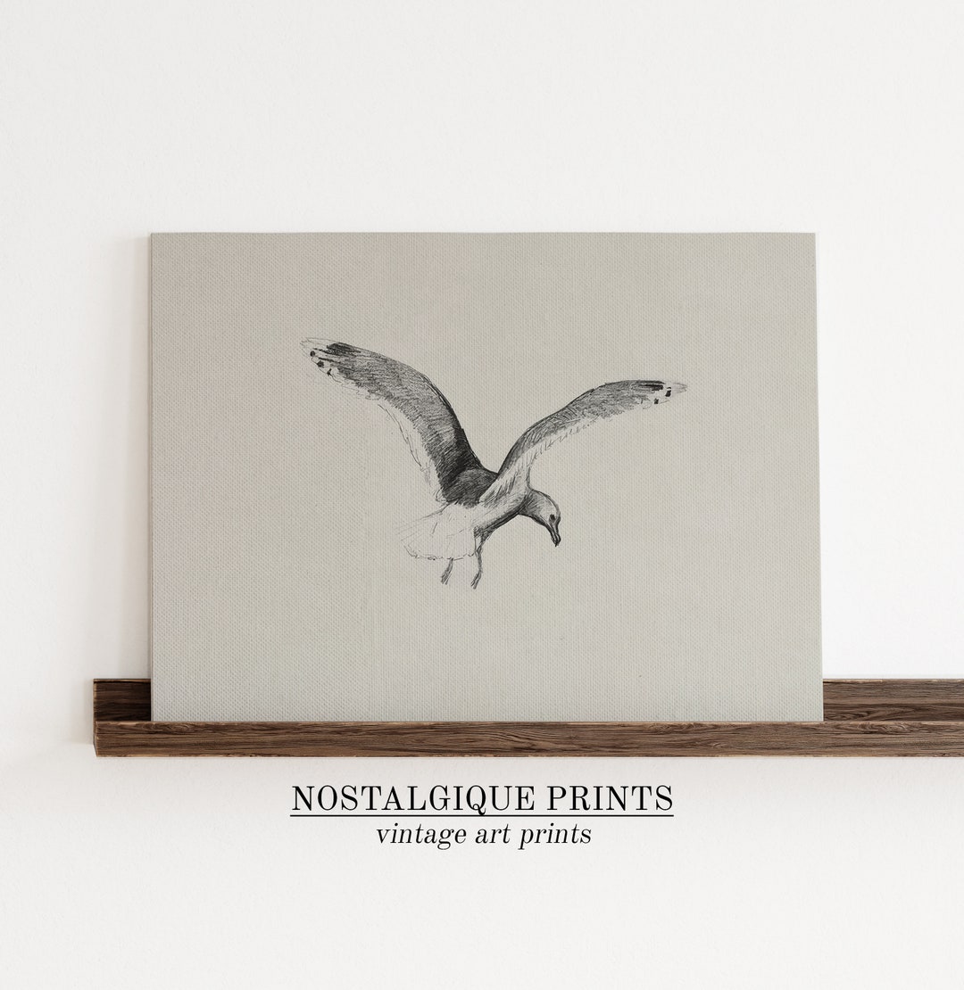 Seagull Art Print, Coastal Wall Decor, Beach House Art, Nautical ...