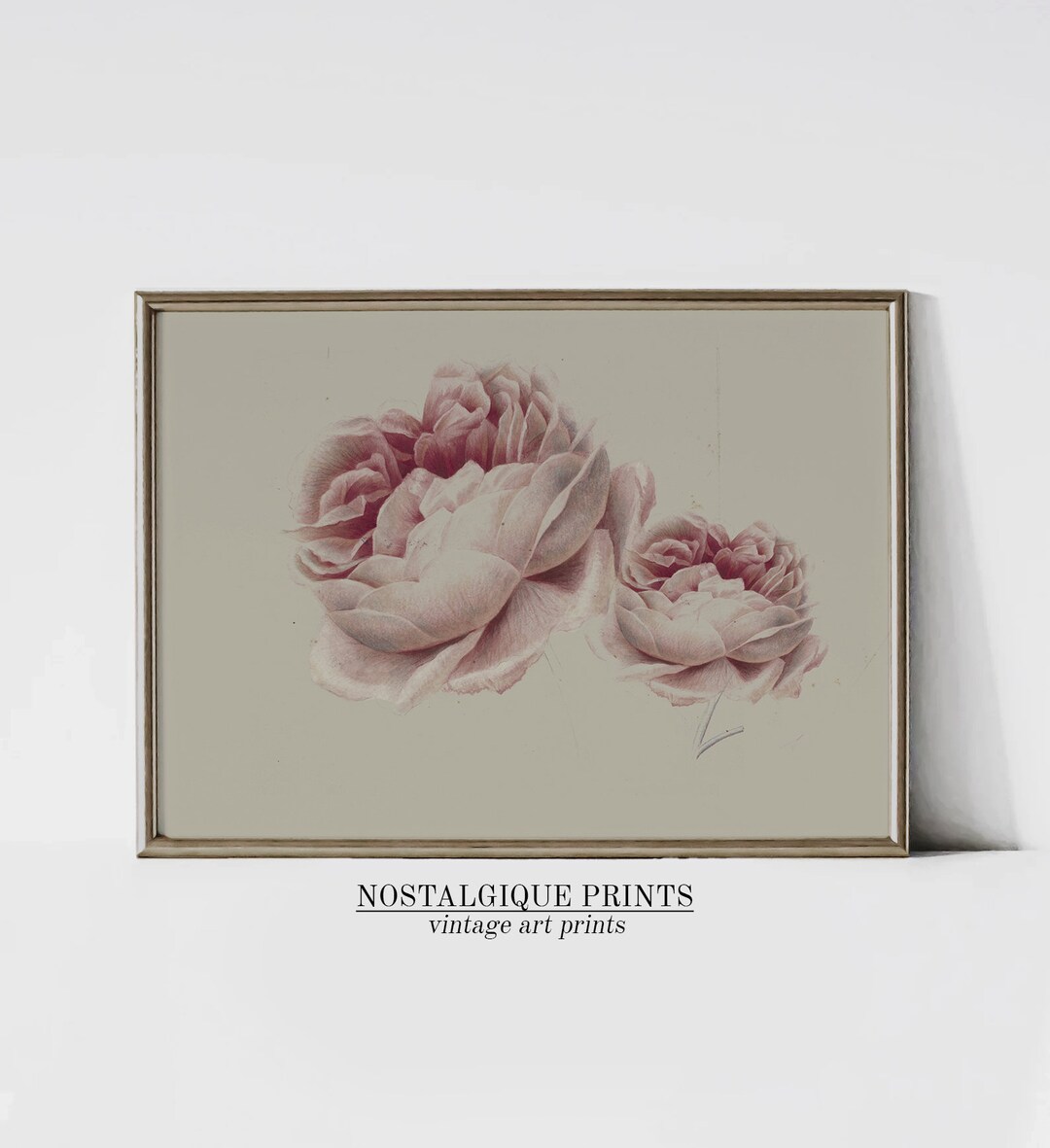 Vintage Rose Wall Art Pink Rose Poster Trendy Wall Art Pink Botanical