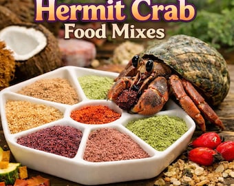 Mieszanka pokarmowa dla pustelnika