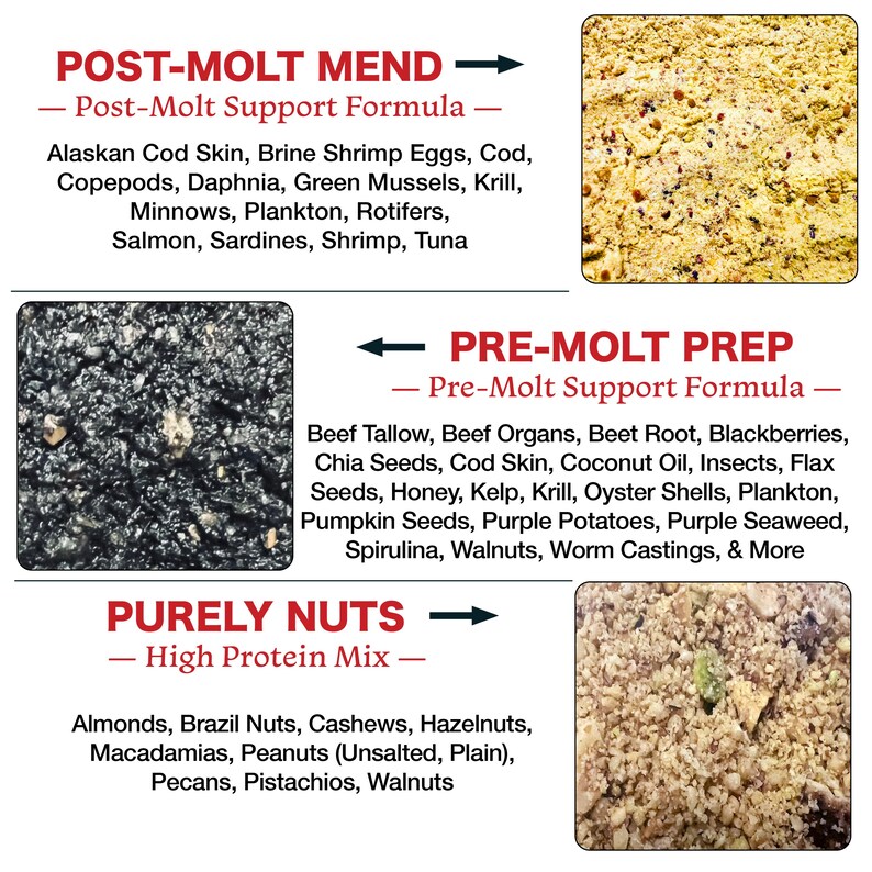 Hermit Crab Food Mix - Etsy