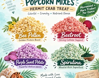 Organic Popcorn Treat for Hermit Crabs
