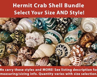 Hermit Crab Shells Bundle - Select Your Style AND Size