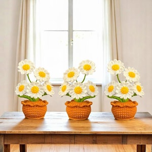 Daisy Pot Blumen Häkelanleitung, Blumenkorb Häkelanleitung, Häkelblumenstrauß Muster, Amigurumi Daisy Flower Häkelanleitung