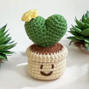 Schema uncinetto cactus, schema uncinetto cactus, download immediato cactus amigurumi PDF, cactus in fiore