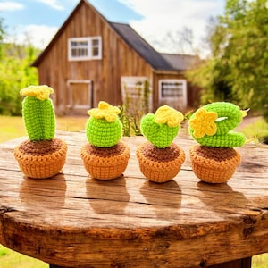 Cactus Love Häkelanleitung, Kakteen häkeln, Amigurumi Kaktus Instant Download PDF