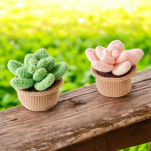 Schema uncinetto cactus, schema uncinetto cactus, download immediato cactus amigurumi PDF, cactus in fiore