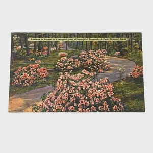 Vykort Azaleor i blom Baconsfield Park Macon Georgia Vintage B443
