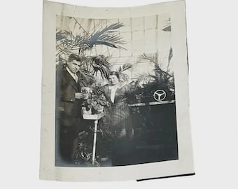 Man Vrouw met plant in kas Vintage antieke foto