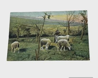 Postcard Shepherd Herding Sheep on Hillside c1908 A133