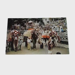 Puede incluir: Fotografía vintage que representa una procesión con elefantes decorados. Los elefantes están adornados con telas y adornos coloridos. Hay personas con vestimenta tradicional y una multitud observando el desfile. La imagen tiene una estética vintage.