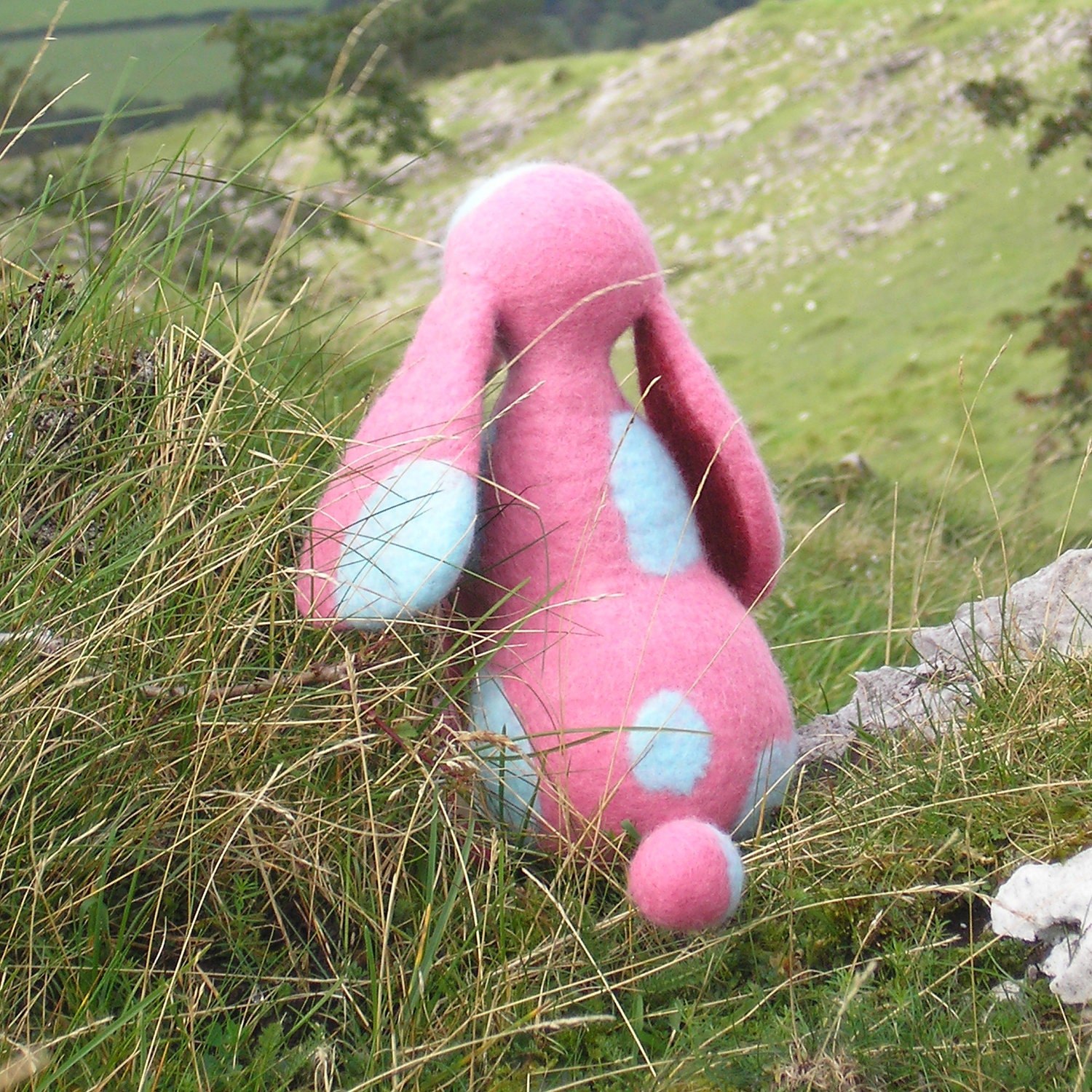 Pink Dawg - Etsy