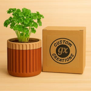 May include: A potted plant with vibrant green leaves in a two-tone, terracotta-colored planter. The planter has vertical ribbed detailing. A brown cardboard box with the text "CUSTOM gx CREATIONS" is next to the plant.